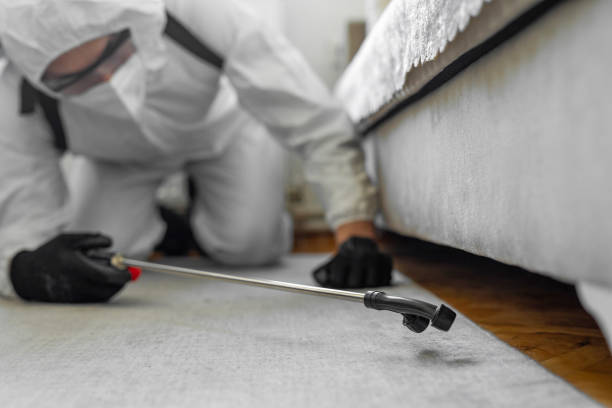 Professional Ant Control technician working in San Carlos Park, FL