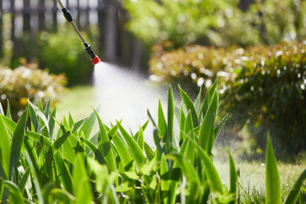 24/7 Emergency Ant Control experts in San Carlos Park, FL